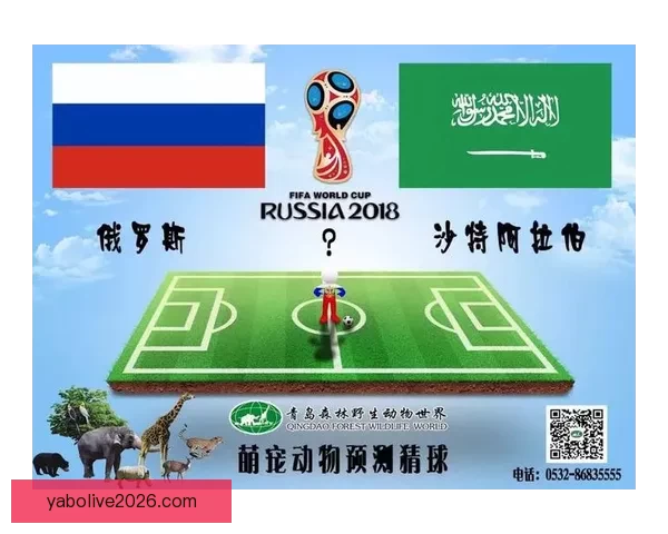 世界杯精彩竞猜比分分析与精准预测策略全攻略